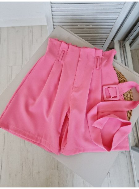 Elegant shorts 1251 2